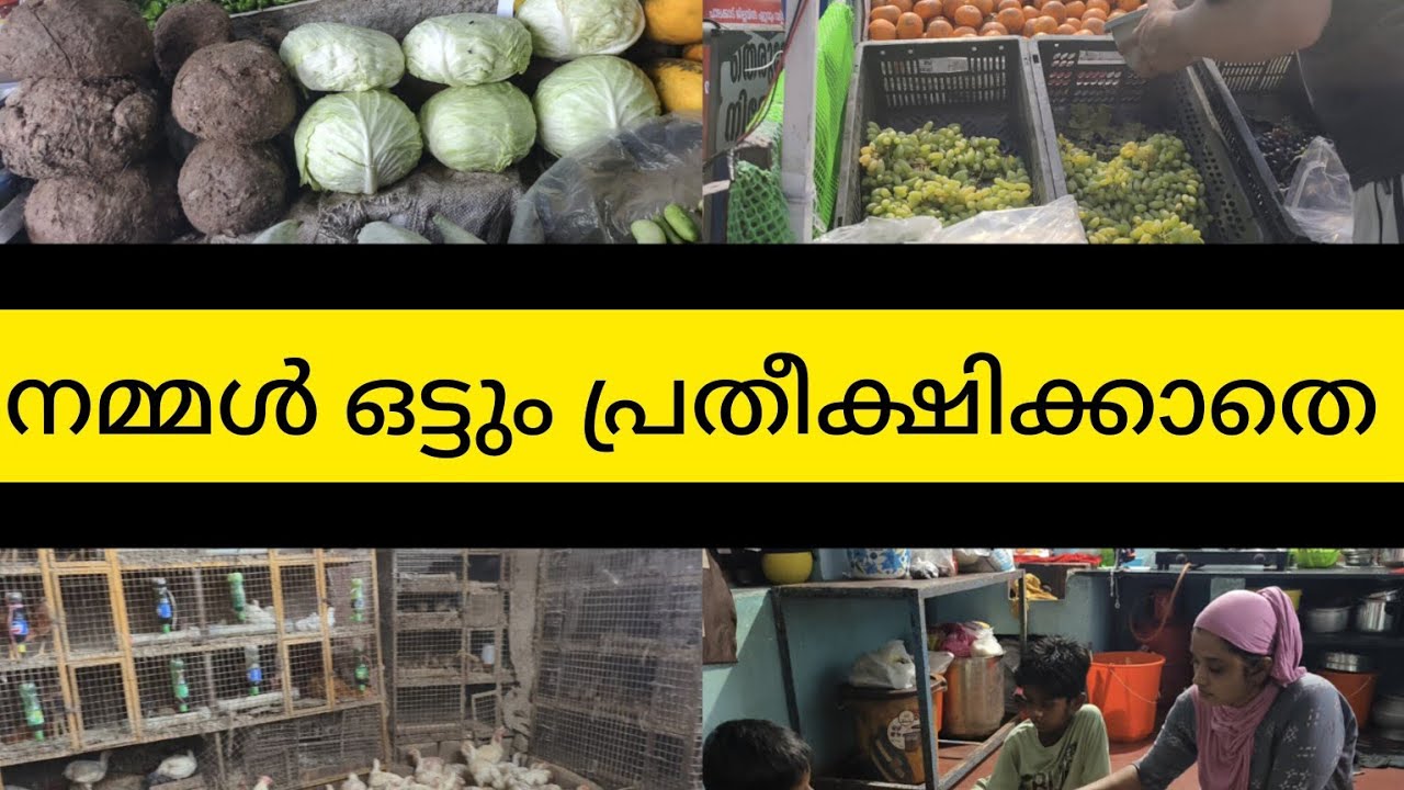 അൽഹംദുലില്ലാഹ് 🤲🏻RAMADAN 15💫🥰റാഹത്തായി 🤲🏻🥰