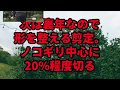 温州みかん剪定講座②実技編（裏年の木）！UMEMARU FARM農業動画