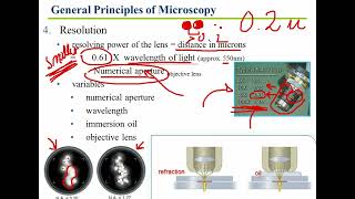 ch4 light microscopy up to electron microscopy