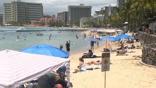 Shark sightings on the rise in waters near Oahu