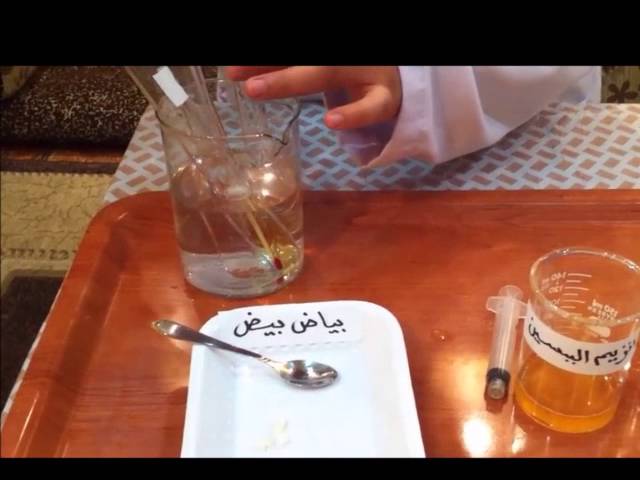 هضم البروتين استهلالية Youtube