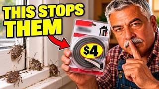 35 Years in the Field: This $4 Trick Stops Stink Bugs Before They Get Inside