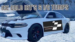 Fi Interchiller Quick Review @ForcedInductionInterchillers