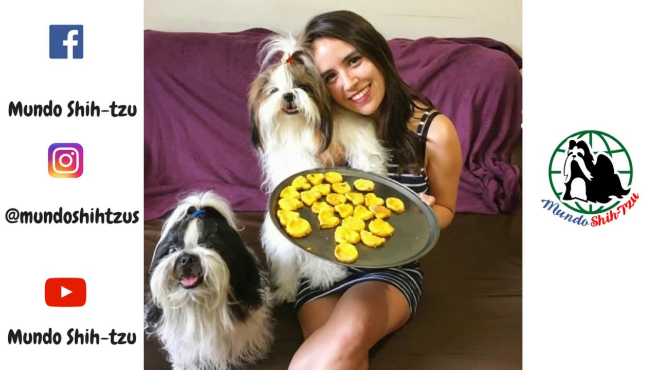 RECEITA BISCOITO CENOURA COM MANJERICAO