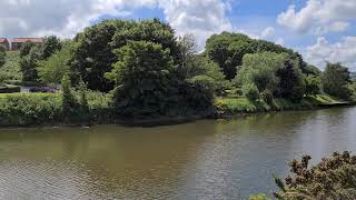 Whitby to Ruswarp walk - near viaduct