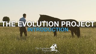 THE EVOLUTION PROJECT - Introduction
