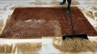 All the scrapes during the washing process of Filthy Carpets Pt. 2 | ASMR