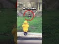 😱 &iexcl;INCRE&Iacute;BLE! Ni&ntilde;o casi atrapado por un le&oacute;n en el zool&oacute;gico 🦁