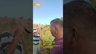 Sou criado na roça! #lida #roça #comedia