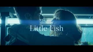 Visuals of: Little Fish (2020) [4K]