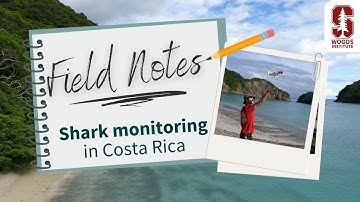 Field Notes from Costa Rica | Flying drones to monitor sharks