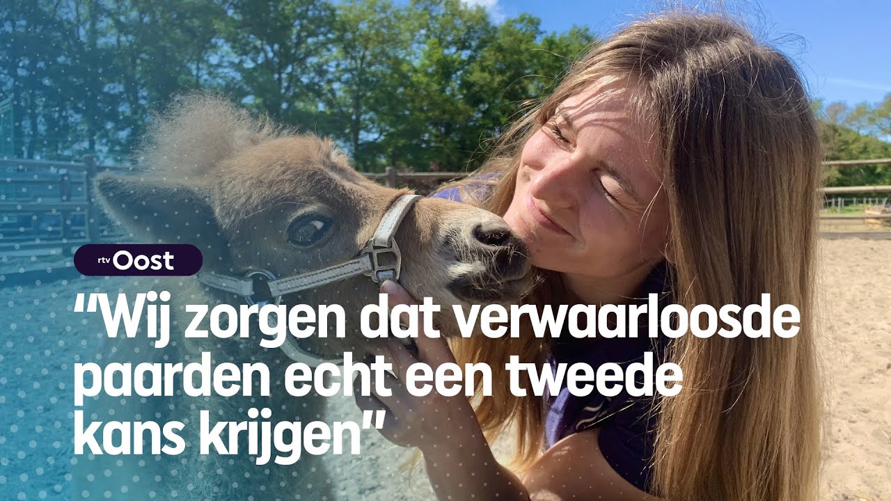 Calijn (20) werkt 7 dagen per week op de paardenopvang | RTV Oost