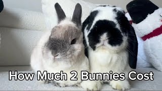 Rabbit Monthly Expenses by The Lexi Bunch 27 views 7 days ago 1 minute, 2 seconds