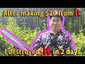 After making $20 from it, I destroyed it. | mountain life of China