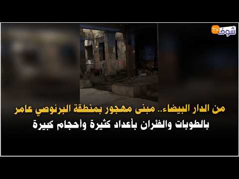 From Casablanca.. An abandoned building in the Bernoussi district is overrun with large numbers o...