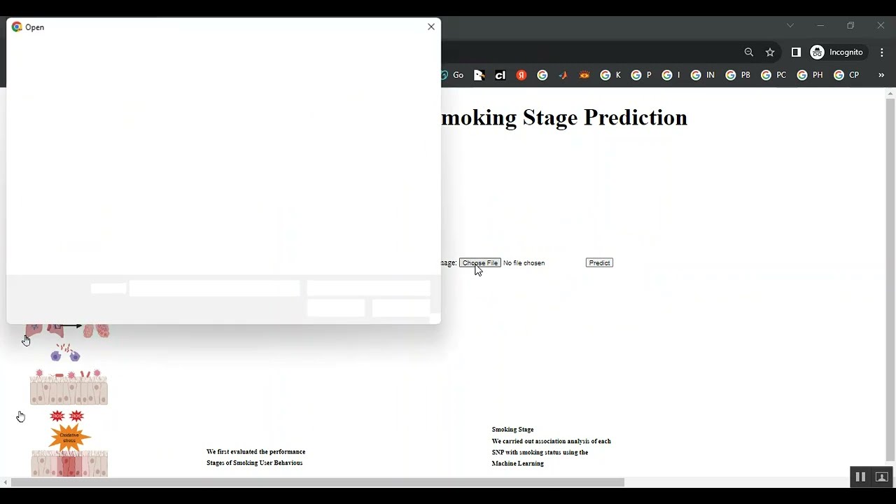 Lung Smoking Automated Stage Prediction Streamlit in Python Projects