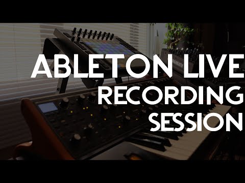 Live recording Session with Ableton Live and Moog Sub 37
