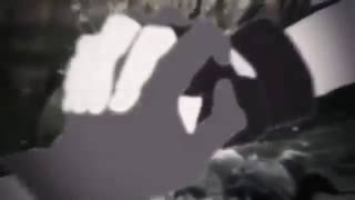 Amv Mix Pour Le Concours De Blood Scarlet Real My Place