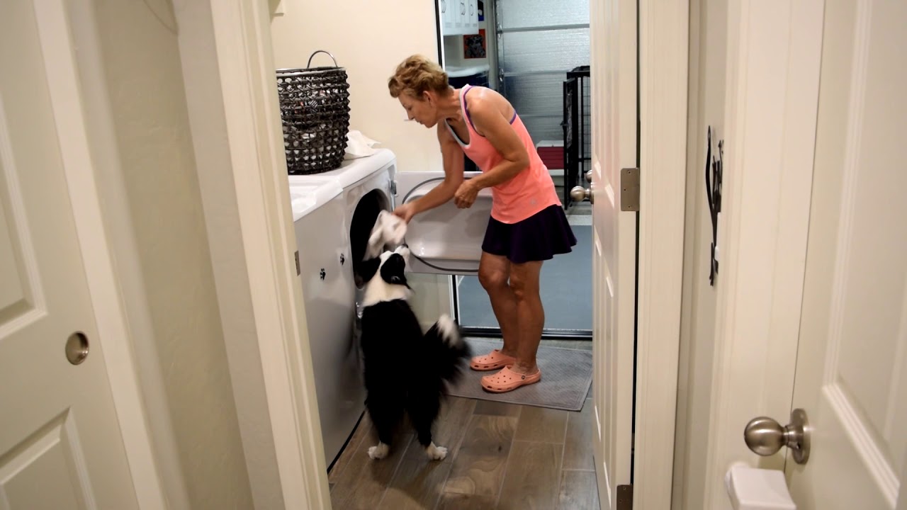 Akc Performer Trick List