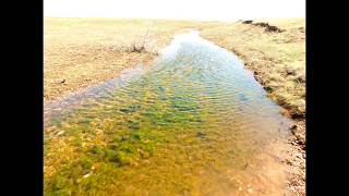 Видео Озёра Косколь уже пересохли (автор: Автоканал УРАЛ)