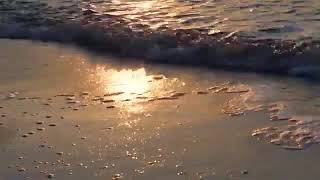 The Beautiful Sounds Ocean Waves to Sleep - Relaxing Ocean Melody @EmotionalSpeechInspirati-rh5nf