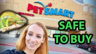 Chameleon products you CAN buy at PetSmart