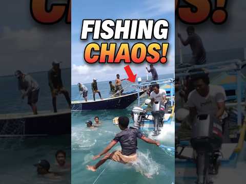 فوضى صيد عارمة مئات القوارب تتصادم وتتنافس على صيد ضخم
