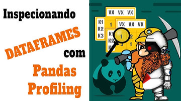 Inspecionando Dataframes com Pandas Profiling