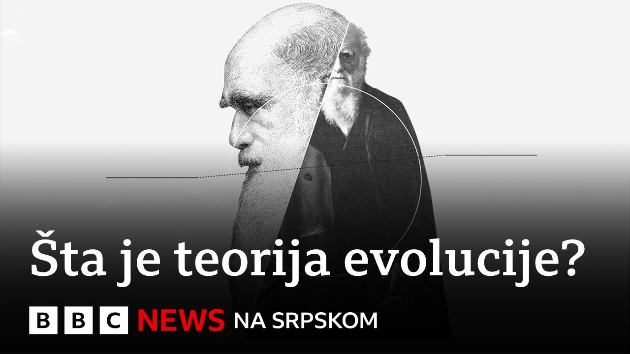 Teorija evolucije: Kako je Darvin došao do najvažnijeg otkrića | BBC News na srpskom