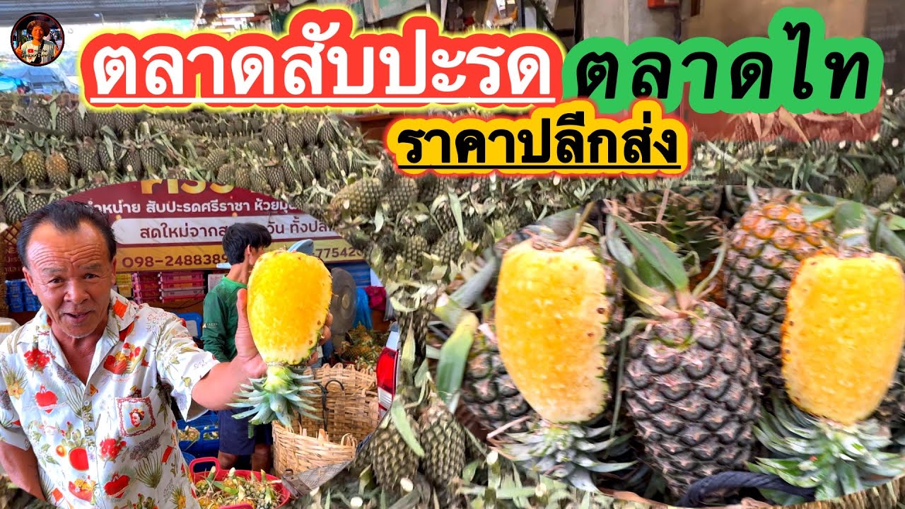 #ตลาดสับปะรด #สำรวจราคาสับปะรด #ตลาดไท #คลองหลวง #ปทุมธานี #ลุงน้อยchannel