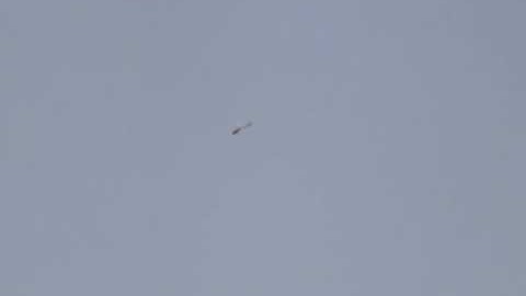 ALIGN 700E-F3C  Test Flight-1