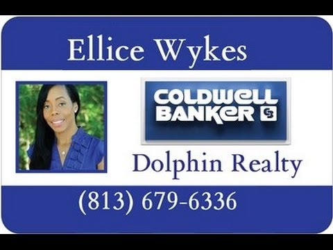 Homes for Sale In Apollo Beach FL | (813)679-6339 - YouTube