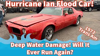 We Buy A FLOODED 1973 Pontiac Trans AM from HURRICANE Ian, this thing was DEEP!! Will It Run Again?