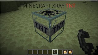 Minecraft, But i have XRAY POWER!
