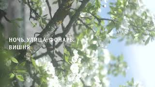 Ночь. Улица. Фонарь. - Вишня (Official Audio)