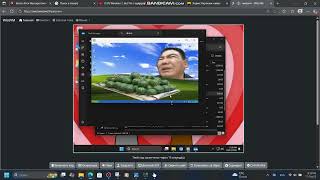 Guadows Xp Has Bsod Wizevm.live