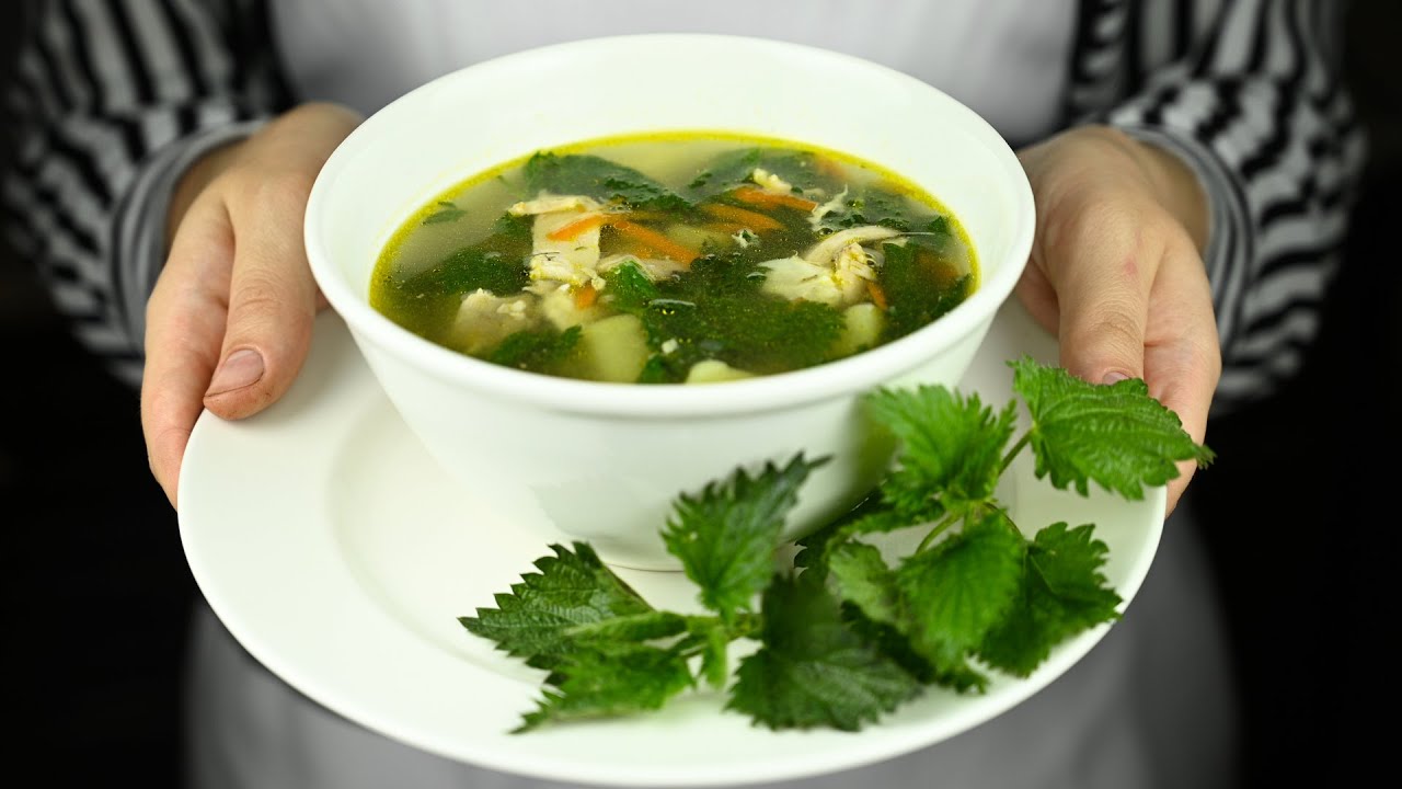Как приготовить суп из крапивы: рецепты и секреты