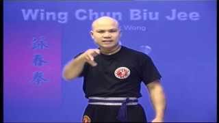 Wing Chun kung fu - wing chun biu Jee form applications Lessons 7 screenshot 4