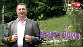 NELUTA BUCUR . Rau imi pare dupa lume (oficial video)