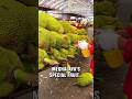 Meghalaya GDP: India Ka Sabse Underrated State?