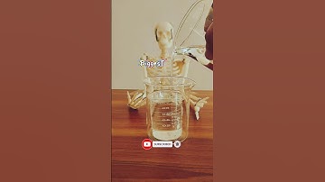 The Mystery of the Invisible Beakers