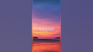 ولو يؤاخذ الله الناس بظلمهم | ياسر الدوسري | تلاوة جميلة
