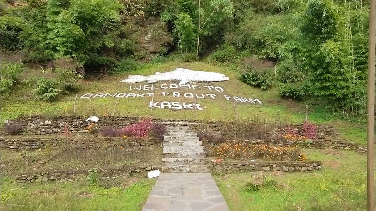 Gandaki Trout Farm, Kaski Part 1 YouTube