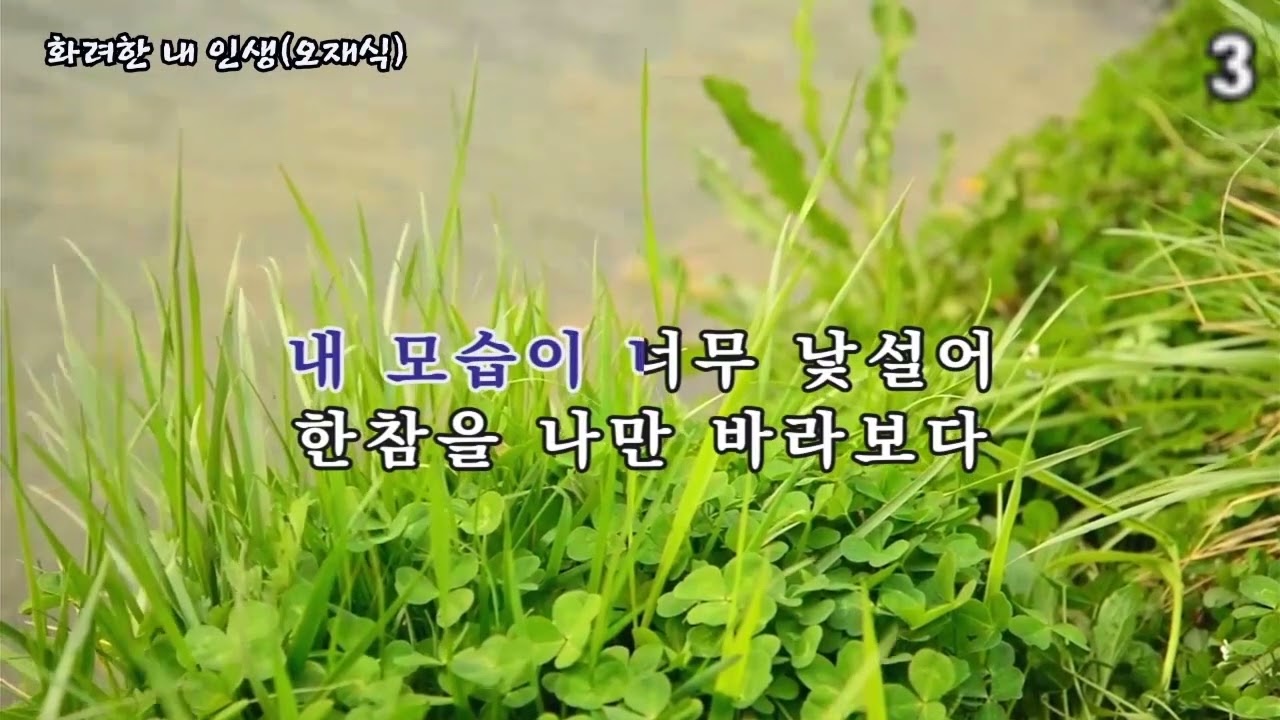 연속연주 No.1-98, #가요, #노래, #휴식, #힐링, #shorts, #잔잔한, #발라드, #조용한, #기쁨, #kpop