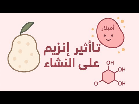 تأثير إنزيم الأميلاز على النشاء شرح مبسط  2026 علوم طبيعية سنة رابعة متوسط الأميلاز النشاء