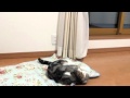 電池切れ早っ!