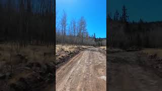 Climbing Toward Dick’s Peak! Colorado ATV Trails (Part 2)