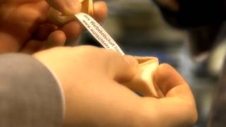 Individuelle Glückskekse Für Ihre Werbung - Wunschkeks.de