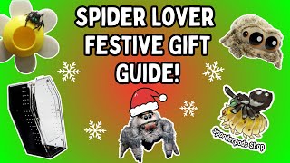 Spider Lover Festive Gift Guide | Gifts For Jumping Spider / Invertebrate Fans | Spooderpods