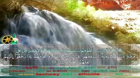 من أروع تلاوات القارئ نبيل الرفاعي من سورة التوبة